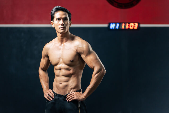 What Is the Gracilis Muscle?
