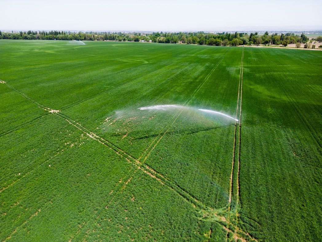 Why do People Water Turf Soccer Fields