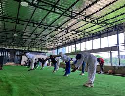 Ace Turf Arena Abuja